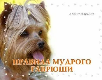 Правила мудрого Гаврюши